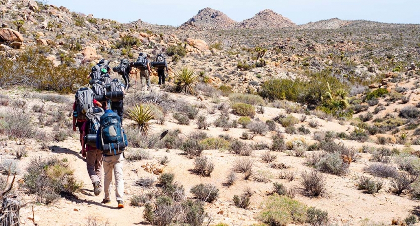 a group of people wearing backpacks hike through Joshua Tree National Park